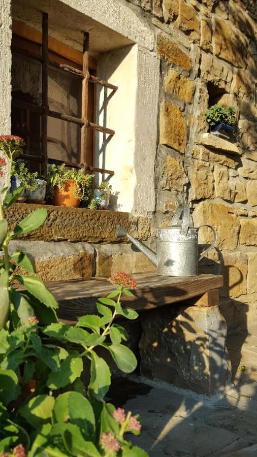 Istrian Stone House Vila Sečovlje Exterior foto